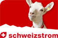 Logo EBLD Schweiz Strom GmbH
