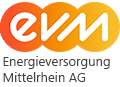 Logo evm