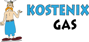 Kostenix Gas - Eine Marke der optimization engineers GmbH