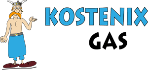 Logo Kostenix Gas - eine Marke der optimization engineers GmbH